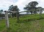 Tinonee-orchids-II 033